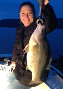  Natalie Holmes with her golden perch taken from the Delatite Arm at Eildon (Picture: Victorian nland Charters).