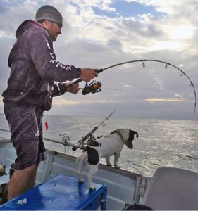 Anticipation: Jack Russell “Tex” is ready for action as Kevin McLoughlin brings a good size gummy shark alongside off Torquay,