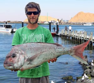 Lucas Faravoni with the 8 kg snapper he caught from the Lee Breakwater on Sunday (Picture: Bob McPherson).   