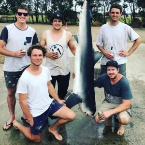 From the left: Matt, Patrick, Steph, Lachie and Tom with the blue shark they caught off Port Phillip Heads at the weekend.