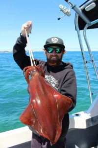 Aaron Habgood with a sample of the XOS squid he’s been catching from the Lonsdale Bight.