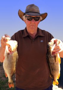 Jeff Broughton of Geelong displays a couple of the redfin he caught from Lake Purrumbete last week (Picture: John Clements).