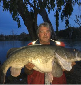 John Clements with a 20.4 kg cod from the Murray near Bundalong (Picture: John Clements).