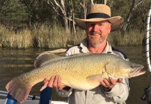 Gary Brown with another good size cod from Bundalong on the Murray (Picture: John Clements).