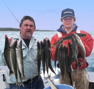 Lockie Wombell and Hugh Johnstone with a sample of their weekend’s whiting catch (Picture: Bob McPherson).