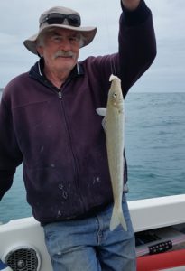 Tony Busher with a nice whiting taken off Portland (Picture: Bob McPherson).