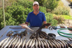 Michael Cave with a mixed bag of whiting and flathead taken by him and Charlie Gubbins (Picture: Mike Windsor).