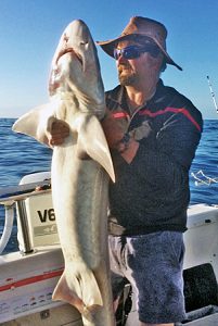 Dave Jacobsen of the Keysborough Angling Club with the competition winning, 23 kg gummy shark, that he caught on the drift in 22 metres of water offshore from Corner Inlet in South Gippsland recently.   