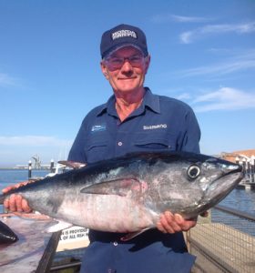 Trevor Muller of Webbcon Marine in Horsham with one of the tuna that he and Trevor Holmes caught on charter with Matthew Hunt off Portland last Tuesday (Victorian Inland Charters).    