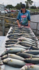 There are salmon a plenty just outside the Portland harbour, and on the cleaning tables (Picture: Bob McPherson).   