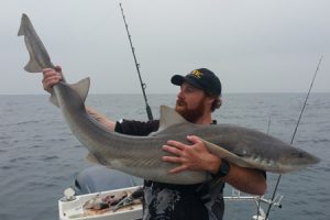 Aaron Habgood with one of the Gummy Shark he caught from Bass Strait at the weekend (Picture: Aaron Habgood)