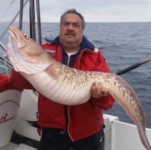 George Gereige with a 14.1 kg pink ling that he caught out wide from Portland (Picture: Bob McPherson).