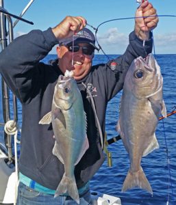 Michael Goldby with a sample of his and Bob McPherson’s blue eye trevalla catch (Picture: Bob McPherson).   