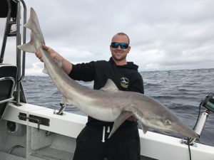 Brian Nolan with a school shark that he caught off Portland last week (Picture: Kevin McLoughlin).