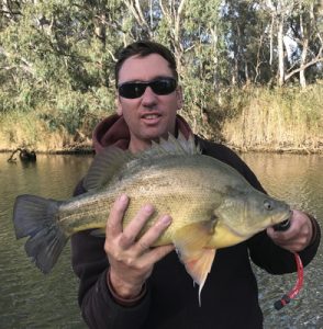 Justin Burns with one of his golden perch from Lake Mulwala (Picture: Katryna Burns). 