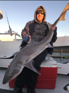 Jeremy McLoughlin with a gummy shark of about 19 kg that he caught offshore from Torquay over the weekend (Picture: Kevin McLoughlin).