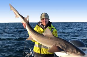 Kevin McLoughlin with a gummy shark of possibly 20 kg that he tagged and released off Torquay (Picture: Jeremy McLoughin).