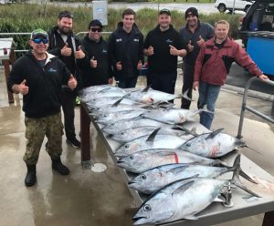 Small bluefin tuna are putting smiles on the faces of charter boat clients (Picture: Bob McPherson).