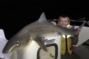 Jai Nolan with the 17 kg gummy shark off Torquay (Picture: Kevin McLoughlin).