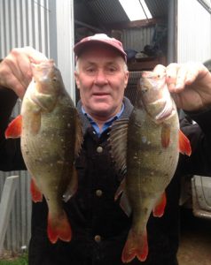 Rod Rees with a pair of respectable redfin from Lake Toolondo (Picture: Victorian Inland Charters).