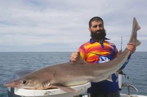 Frank Galea with the 31 kg gummy shark that he caught offshore from Torquay on Sunday (Picture: Kevin McLoughlin).