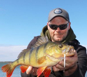 Michael Evans with yet another sample of the redfin he has been catching from Wurdiboluc Reservoir lately.