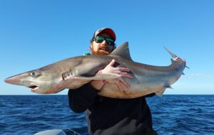 Aaron Habgood with the massive 36.7 kg school shark that he caught off Barwon Heads recently (Picture: Aaron Habgood)