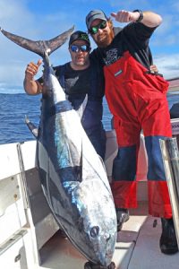 Simon Agius and Aaron Habgood with another of their tuna from Port MacDonnell.