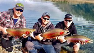 Triple hook-up: Trevor Holmes, Michael Evans and Ben Young with a three-way catch from the Twizel Canals in New Zealand