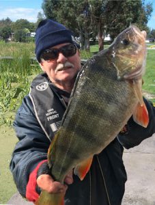 How Big? Geelong angler Terry Lindsay holding out a 1.2 kg redfin from Lake Purrumbete (Picture: John Clements).