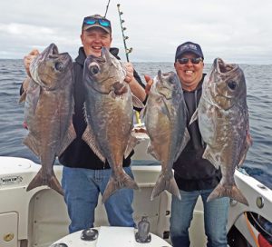 Ben Johnstone and Michael Goldby with a sample of their blue-eye trevalla catch off Portland at the weekend (Picture Bob McPherson).