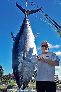 Paul Rabecchi with his 130.8 kg tuna from Portland; one of several taken at the weekend (Picture Bob McPherson).