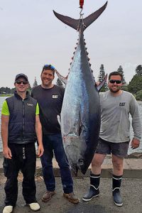 Simon Rinaldi of Red Hot Charters with Glen and Luke Stevens, and the 135 kg tuna they caught offshore from Portland last week (Picture: Bob McPherson).