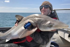 Jeremy McLoughlin with his 20 kg school shark taken offshore from Torquay (Picture: Kevin McLoughlin).