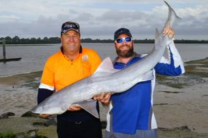 Kelvin Maclean and Chris Stamalos with one of the gummy shark they caught offshore from Barwon Heads on Sunday.