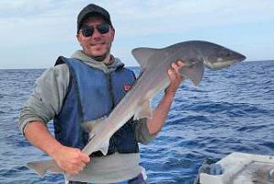 Colin Crook with the Bream Lea Gummy Shark (Picture: Rici Hedditch).