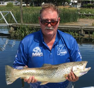 A gent of Murtoa with a 4.42 kg brown trout that he caught from Lake Purrumbete (Picture and info from Lake Purrumbete Holiday Park).