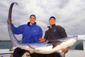 Bill Athanasselis and Mick Kollaris on a file photo of a thresher shark that took a lure offshore from the mouth of the Surrey River near Portland some years ago.