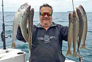 George Gereige with a good sample of whiting from Portland (Picture: Bob McPherson).