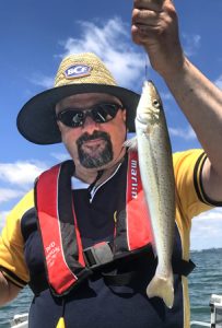 Mark Sesar with a 40 cm whiting from Corio Bay.