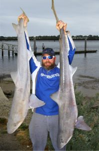 Hands up: Chris Stamalos with two gummy shark he caught off Barwon Heads.