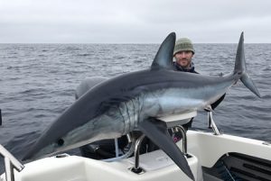 Blue on blue: Kevin McLoughlin with the 96 kg mako shark; one of three that he and Brian Nolan caught off Lakes Entrance on Friday night.