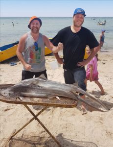 Ben Hussey and Shaun Martin with the two gummy shark they caught out near the Prince George Light (Picture: Rod Ludlow).