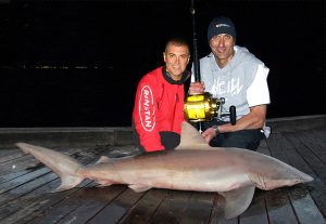 Lorne sharkers: Mick Kollaris and Bill Athanasselis with the bronze whaler shark they caught from the Lorne Pier in the early hours of Friday morning (Picture: Claire, the shark girl).   