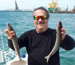 George Gereige with a sample of his, and Bob McPherson’s whiting catch off Portland at the weekend.