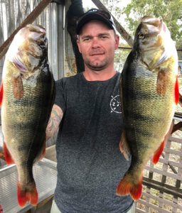 Two up: Michael Evans with his two largest redfin from Lake Fyans (Picture: Victorian Inland Charters).