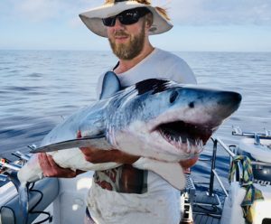 Paul Carson with one of the mako shark he and his crew took during the early hours of  Saturday morning off Portland (Photo Kevin McLoughlin).