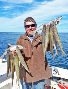 Lachie Wombell with a sample of the whiting that he and Bob McPherson have caught off Portland lately (Photo: Bob McPherson).