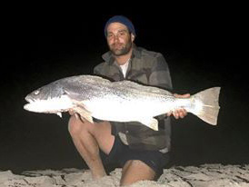 Steve Arthey with one of the mulloway he caught recently from the beach at Yalata in South Australia.   