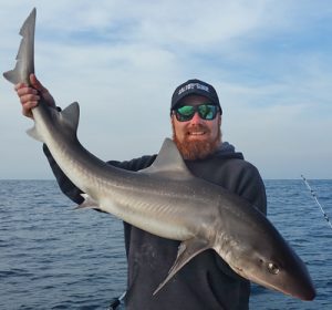 Aaron Habgood of Red’s Fishing Adventures with one of the gummy shark he caught off Port Phillip Heads last week (Picture: Red’s Fishing Adventures).